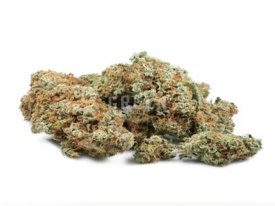 Buy Silver Haze Strain Online